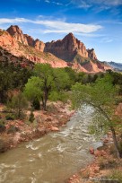 zion national park, watchman, virgin river, spring